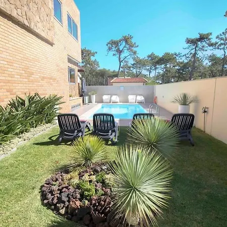 Living In A Dream Apúlia